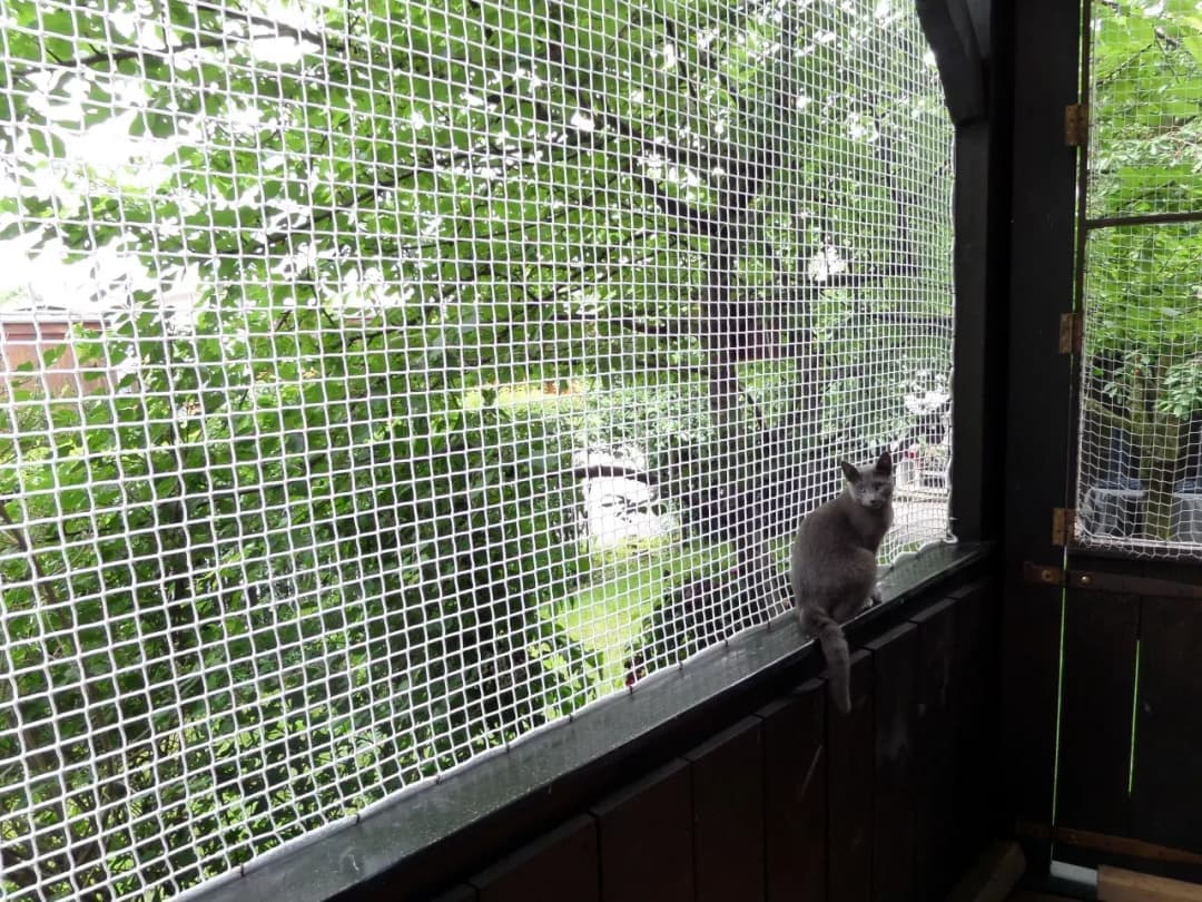 SVR Enterprises Pet Safety Nets Chennai