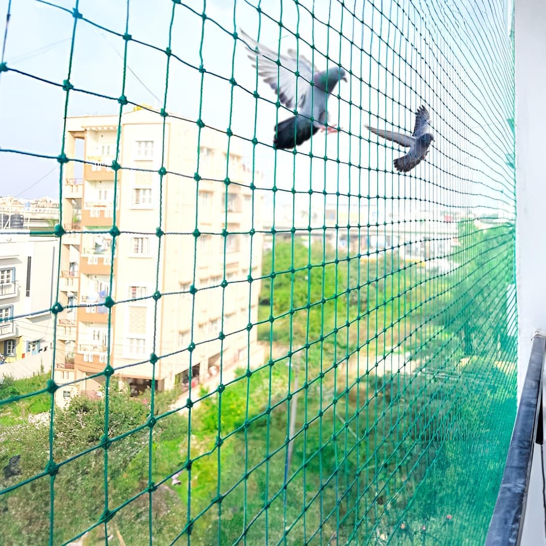 SVR Enterprises Pigeon Safety Nets Chennai